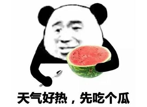 反吃瓜表情包,揭秘网络时代的“冷眼旁观”